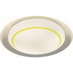 Потолочный светодиодный светильник Ambrella light F46 YL 48W D450