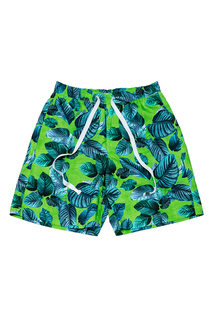 Шорты мужские Laete 18180-2 зеленые XL