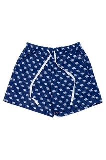 Шорты мужские Laete 18181-5 синие XXL