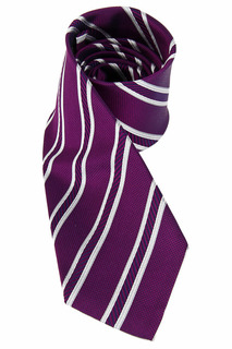 Галстук мужской Enrico Coveri S00000066-CO фиолетовый