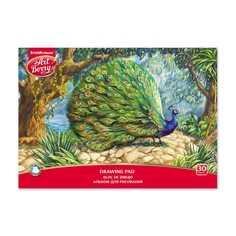 Альбом для рисования на клею ArtBerry® Экзотические птицы, А4, 30 листов Erich Krause