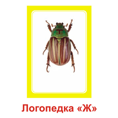Вундеркинд С пеленок, логопедические карточки, логопедка Ж