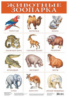 Плакат Дрофа-Медиа Животные Зоопарка 1917
