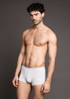 Трусы мужские Laete Z001-23-1 серые L