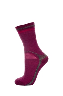 Носки женские Janus 16590-739 фиолетовые 43-45