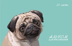 Альбом для рисования Феникс+ Мопс 24л. арт. 47102/10