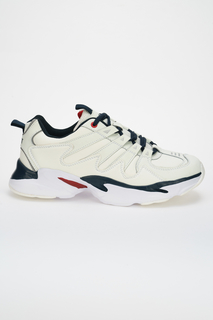 Кроссовки мужские Ascot разноцветные 44 RU