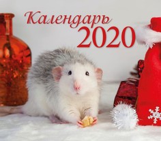 Календарь ND Play на 2020 год. Символ года Дизайн 1 (настольный домик)