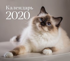 Календарь ND Play на 2020 год. Кошки (настольный домик)