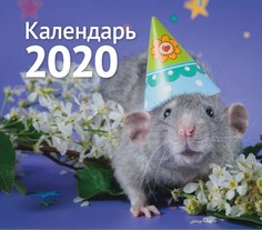 Календарь ND Play на 2020 год. Символ года Дизайн 2 (настольный домик)