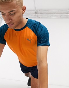 Футболка оранжевого/синего цвета Puma Collective loud performance-Оранжевый
