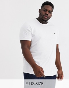 Белая футболка из хлопка пима с логотипом Lacoste-Белый