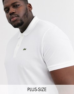 Поло из пике белого цвета приталенного кроя Lacoste-Белый