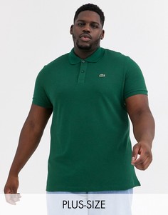 Зеленая узкая футболка-поло из пике Lacoste-Зеленый