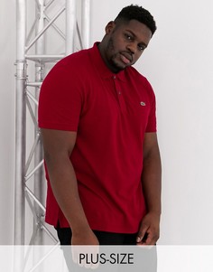 Красное узкое поло из пике Lacoste-Красный