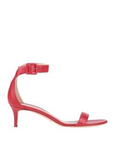 Сандалии Giuseppe Zanotti