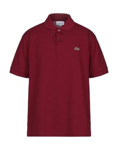 Поло Lacoste