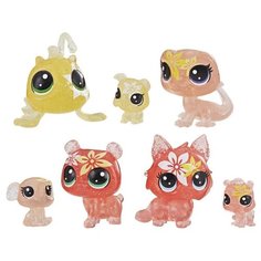Игровой набор Hasbro Littlest