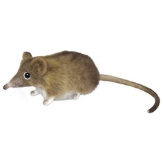 Мягкая игрушка Hansa