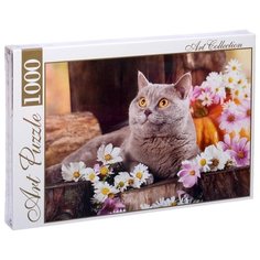 Пазл ART PUZZLE Британский кот