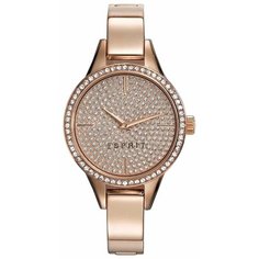 Наручные часы ESPRIT ES109062003