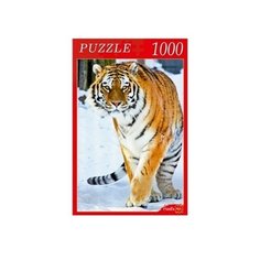 Пазл Рыжий кот Тигр среди