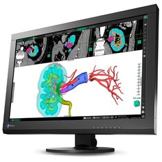 Монитор Eizo RadiForce MX242W