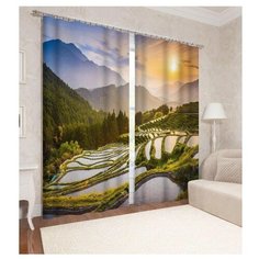 Фотошторы Сирень Чайная долина