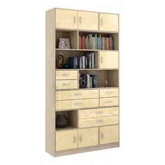 Шкаф комбинированный Либерти-31 МФ Мастер