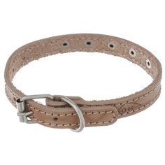 Ошейник Аркон Стандарт (о14) 22-29 см бежевый