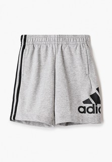 Шорты adidas