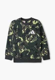 Свитшот adidas