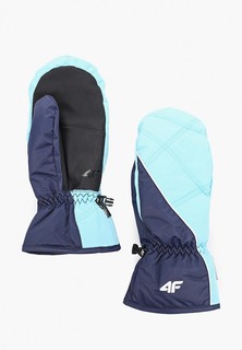 Варежки горнолыжные 4F