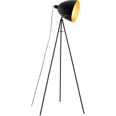 Торшер Eglo 43008