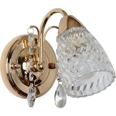 Люстра MW-Light 294026101