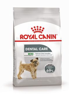 Сухой корм Royal Canin Mini Dental Care для собак мелких размеров 3 кг