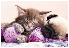 Пазл Educa Мечтатели 500 элементов