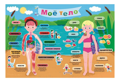 Пазл Trefl Мое тело 40 элементов