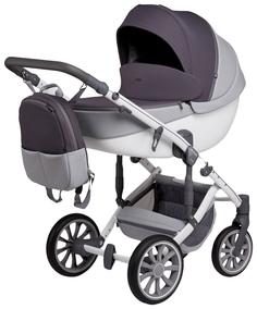 Коляска 2 в 1 Anex (Анекс) m/type Gray Cloud