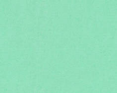 Виниловые обои A.S. Creation Versace 4 37050-1