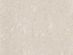 Виниловые обои Zambaiti Parati Trussardi 3 3402