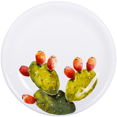 Тарелка 20,5см Nuova Cer Cactus, многоцветие