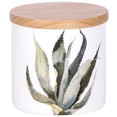 Банка для сыпучих продуктов 11см Nuova Cer Cactus, цвет белый