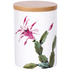 Банка для сыпучих продуктов 17см Nuova Cer Cactus, цвет белый