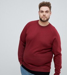 Бордовый свитшот со вставкой по низу ASOS DESIGN Plus-Красный