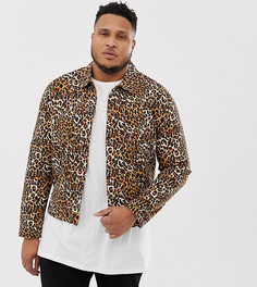 Джинсовая куртка с леопардовым принтом ASOS DESIGN Plus-Светло-коричневый