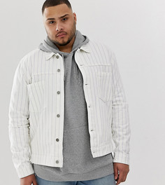 Белая джинсовая куртка в фиолетовую полоску ASOS DESIGN Plus-Белый