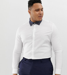 Белая облегающая рубашка с контрастным темно-синим воротником в горошек ASOS DESIGN Plus-Белый