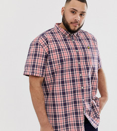 Розовая рубашка в клетку с короткими рукавами Lyle & Scott-Розовый