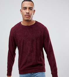 Свитшот из махровой ткани Jacamo Tall-Красный